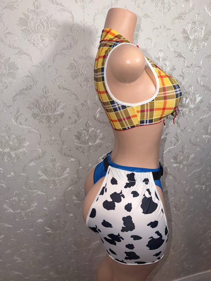 Ride Em Cowgirl 3 Piece Mesh Plaid Top, High Waist Bottoms and Chaps